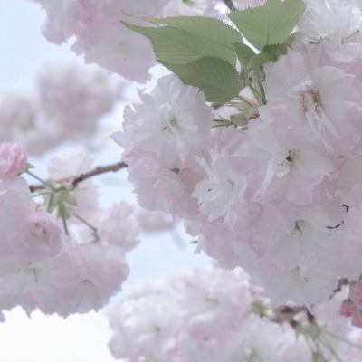 Furry兽圈创作交流